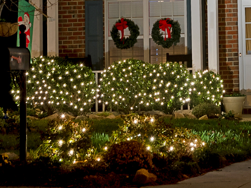 Celebrate Holiday Lighting