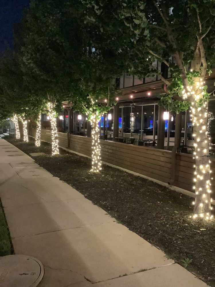 Tree Wrapping for a Restaurant in Overland Park, Kansas City