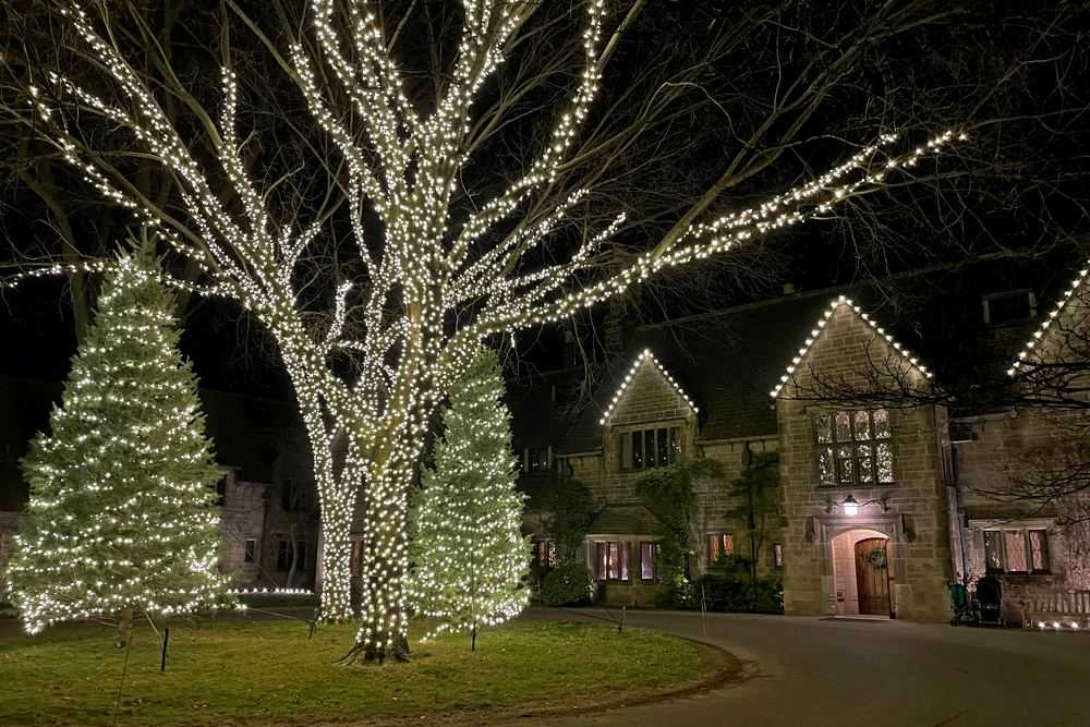 Why Tree Wrapping Is the Centerpiece of Your Outdoor Holiday Decorations