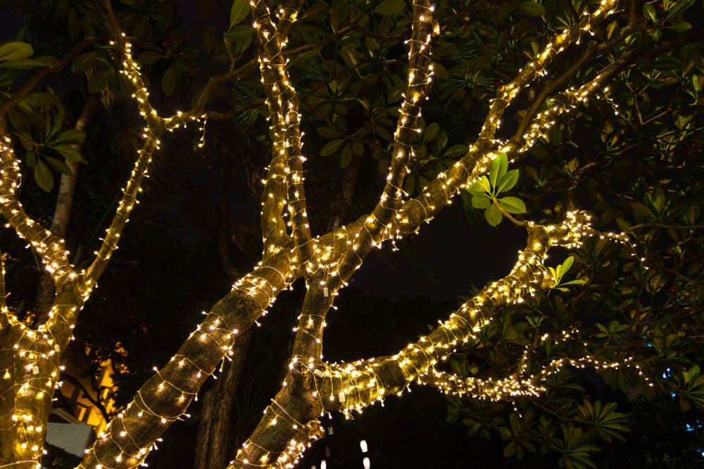 Why Tree Wrapping Is the Centerpiece of Your Outdoor Holiday Decorations