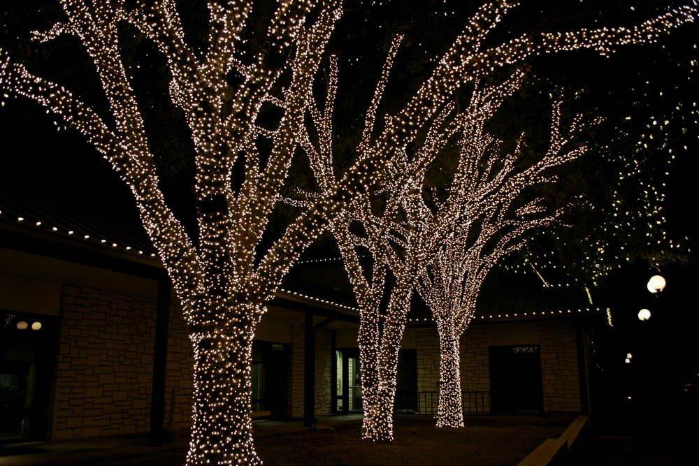 Why Tree Wrapping Is the Centerpiece of Your Outdoor Holiday Decorations